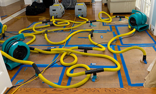 Professional Storm Water Damage Restoration technician working in Canova, SD